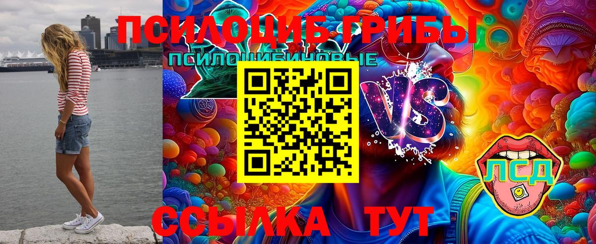 Елабуга  Галлюциногенные грибы Cubensis  Вход с VPN  Галлюциногенные грибы GOLDEN TEACHER 