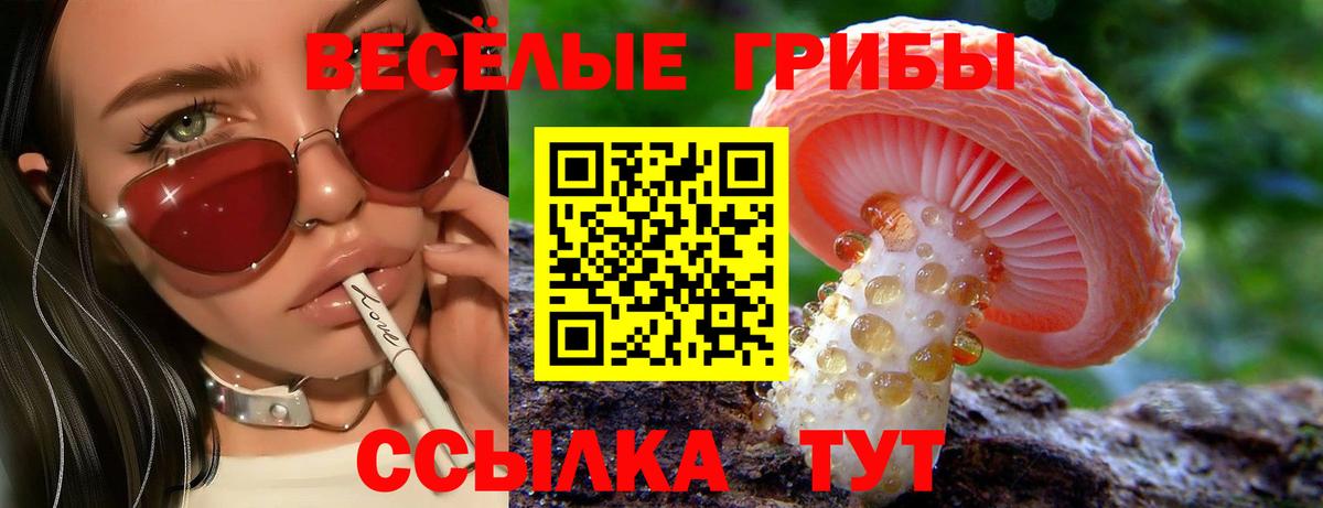 Галлюциногенные грибы Psilocybe Елабуга